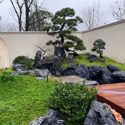 龟纹石、千层石与黑山石 打造独特假山景观的灵感与实用指南