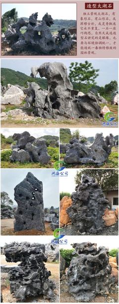太湖石及其在假山工程中的应用与价格分析