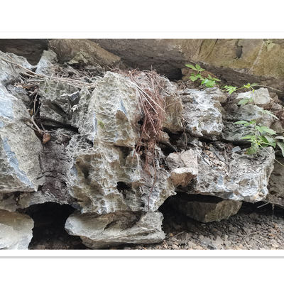 灵山秀水间的自然奇缘 英石大型假山、观赏石与池塘驳岸的构造艺术之道
